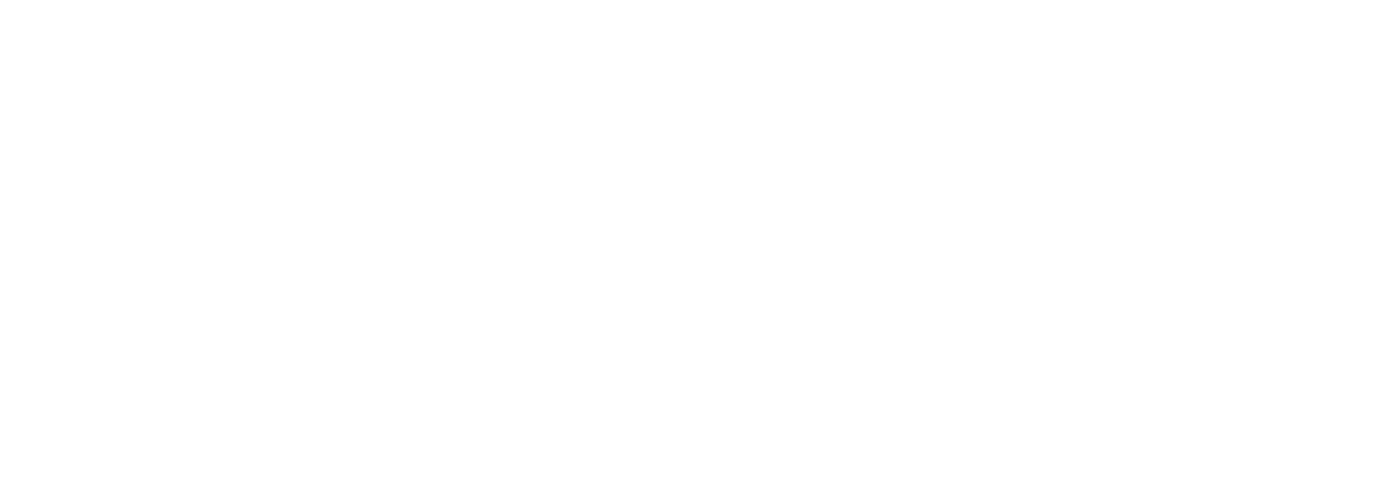 TripoSIM logo — white